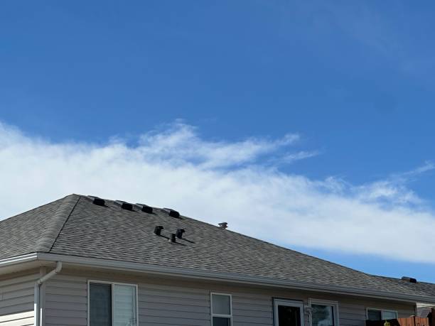 Best Emergency Roof Repair Services  in Burnham, PA